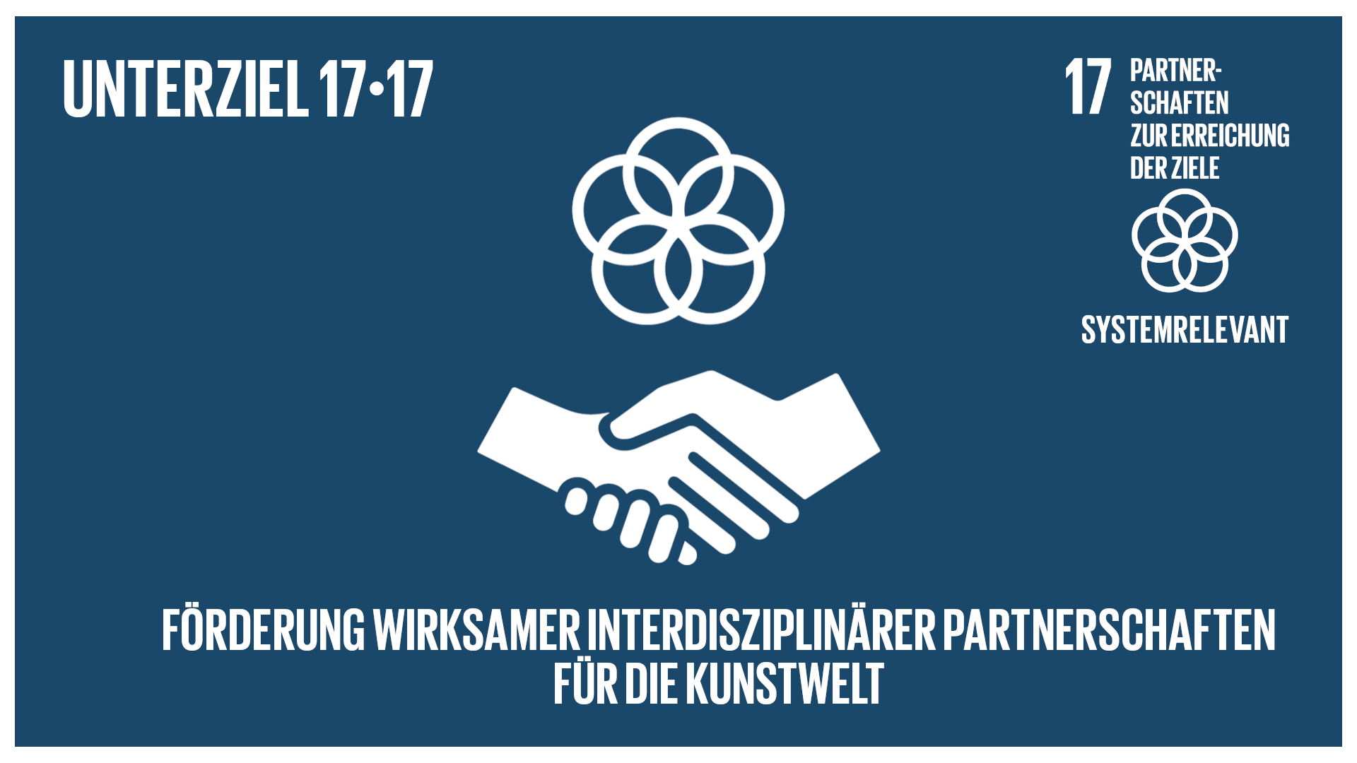 sdg_target_17.17_avc_frame_de_XL